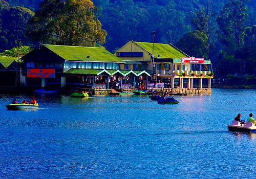 Ooty